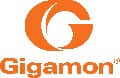 A Orange logo of Gigamon.