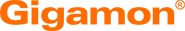 gigamon orange logo