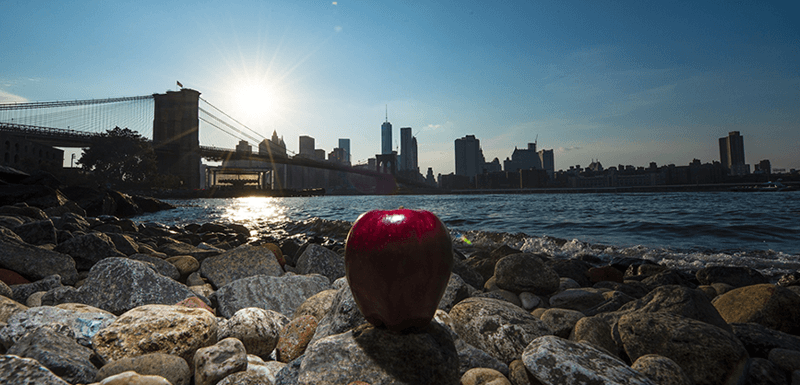 Riverbed — Big Apples for 15 Years