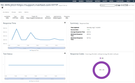 The Synthetic Test Object View page shows at-a-glance results, browser configs, associated alarms and metrics.